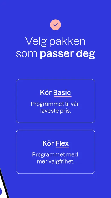 Kör - Get your Drivers License スクリーンショット