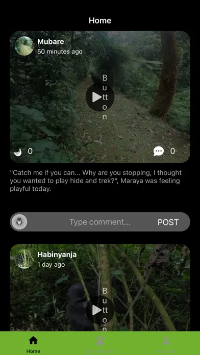 Ảnh chụp màn hình của My Gorilla Family