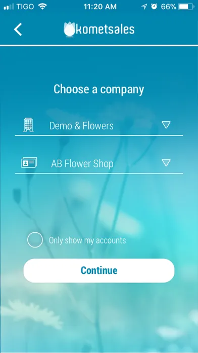 Capturas de tela do Komet Sales E-commerce