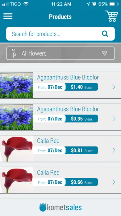Capturas de tela do Komet Sales E-commerce