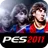 PES2011