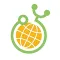 MELON
