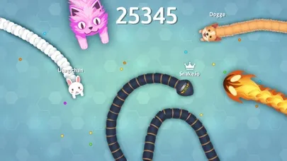 ภาพหน้าจอของ Snake.io+