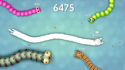 ภาพหน้าจอของ Snake.io+