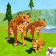 Wild Leopard Safari - Online Wild Leopard Safari - Online