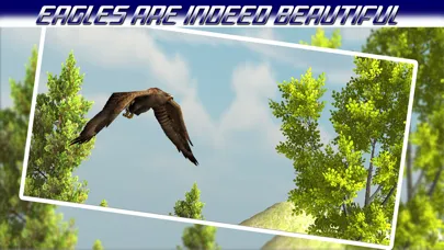 Bird hunting Game: Best Bird Hunter in Eagle Hunting Birds Game of 2016 Screenshots