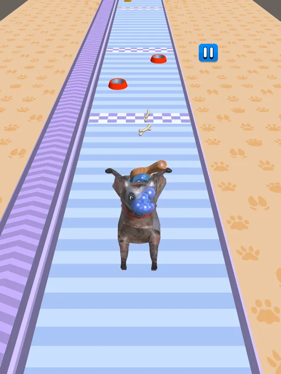 Pet Care Runner iPad  سکرین شاٹس