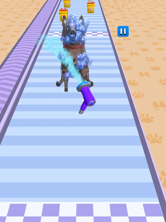 Pet Care Runner iPad  سکرین شاٹس