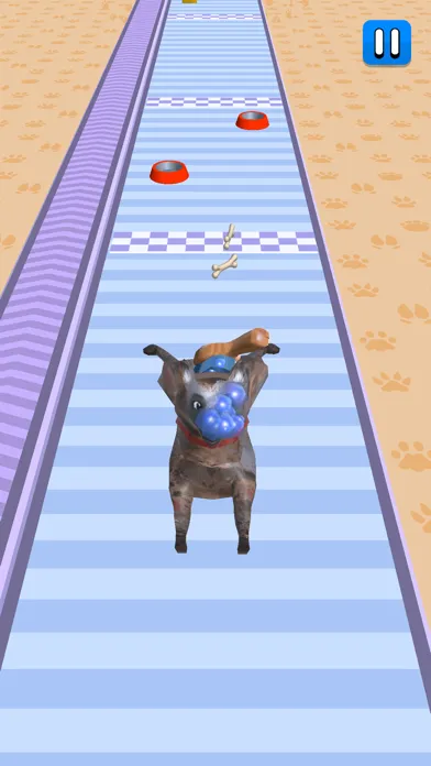 Pet Care Runner سکرین شاٹس