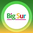 Mi BigSur Mi BigSur
