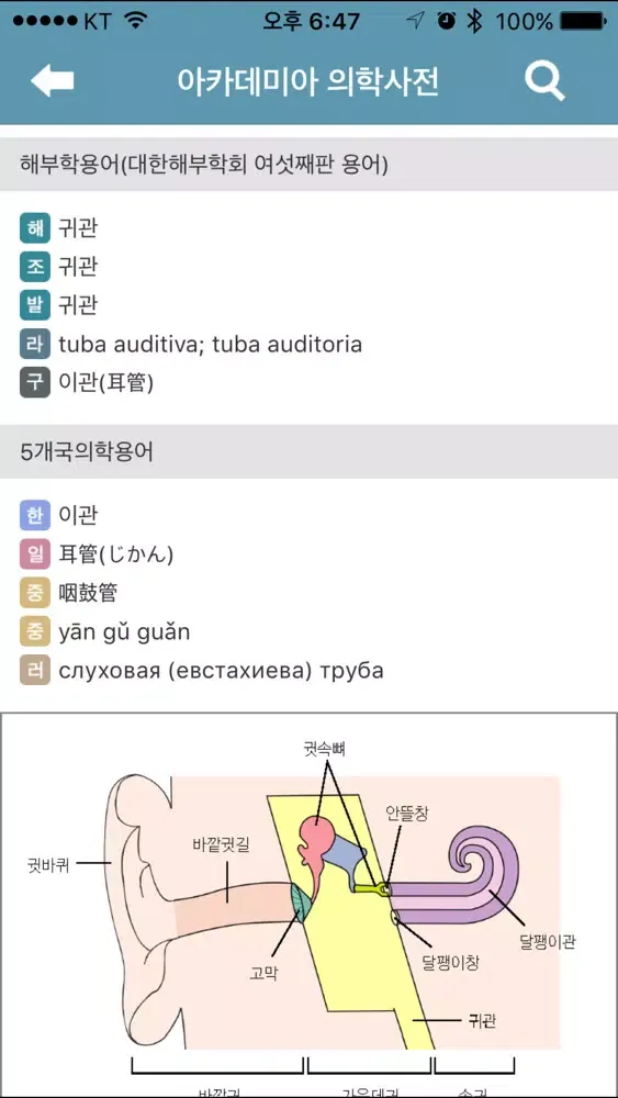Ảnh chụp màn hình của 아카데미아 의학사전