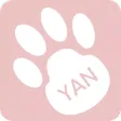 얀 스타일 - YAN STYLE