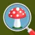 Mushroom Identifier -
