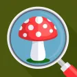 Mushroom Identifier - Mushroom Identifier -