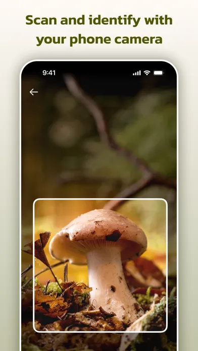 Mushroom Identifier - स्क्रीनशॉट