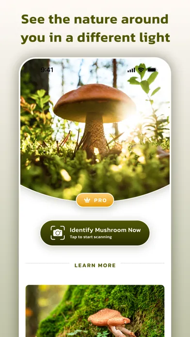 Mushroom Identifier - स्क्रीनशॉट
