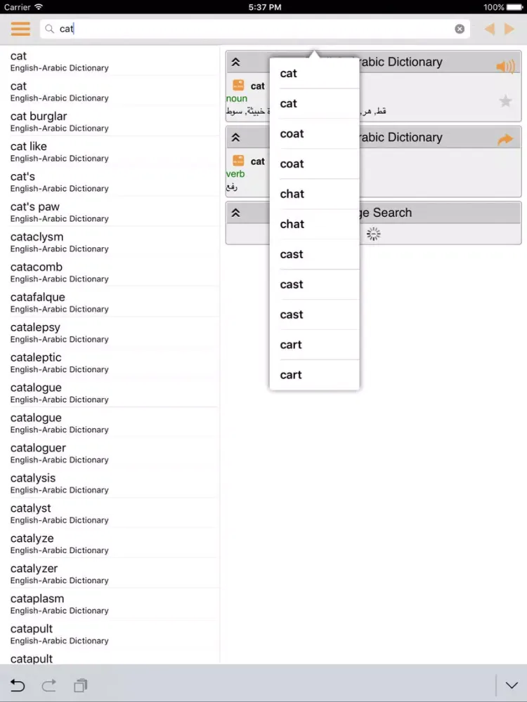 Скриншоты English Arabic Dictionary (My Dict) iPad 