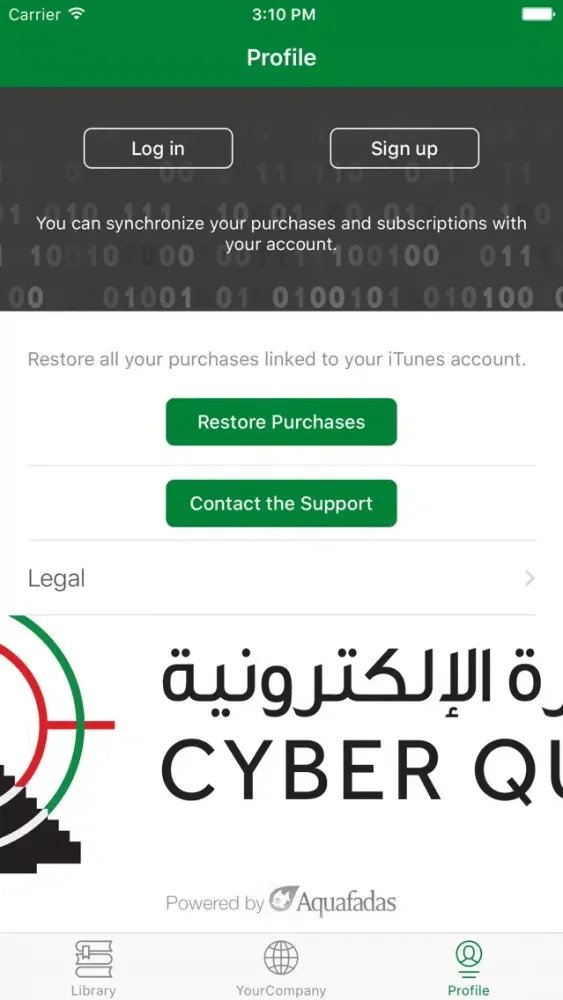 Screenshot di CyberQuest UAE