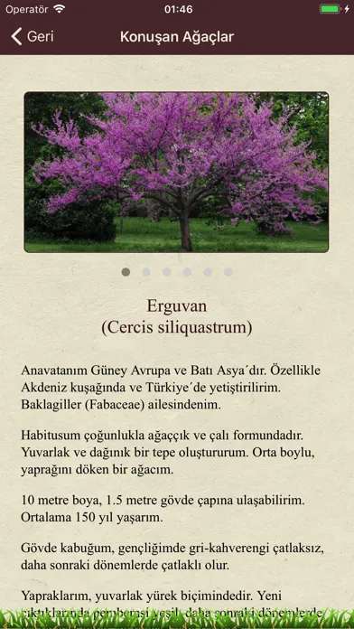 Captures d'écran de Konuşan Ağaç