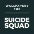 Wallpapers Suicide Squad Edition