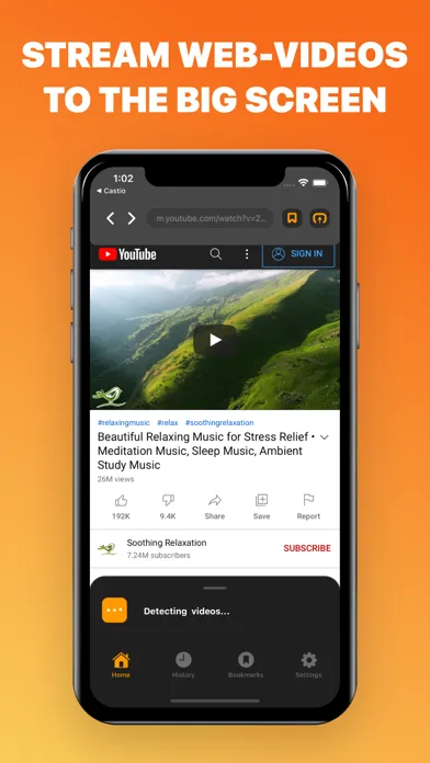 Web Video Caster: Fire TV Cast Screenshots