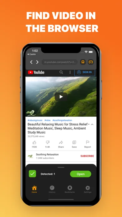 Web Video Caster: Fire TV Cast Screenshots