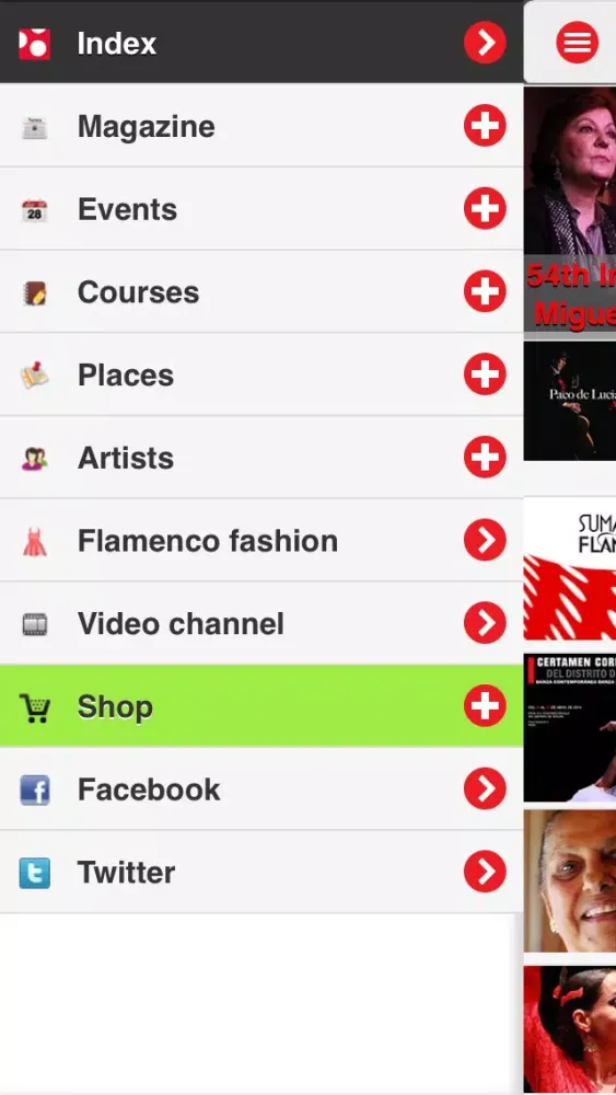 Flamenco DeFlamenco.com Screenshots