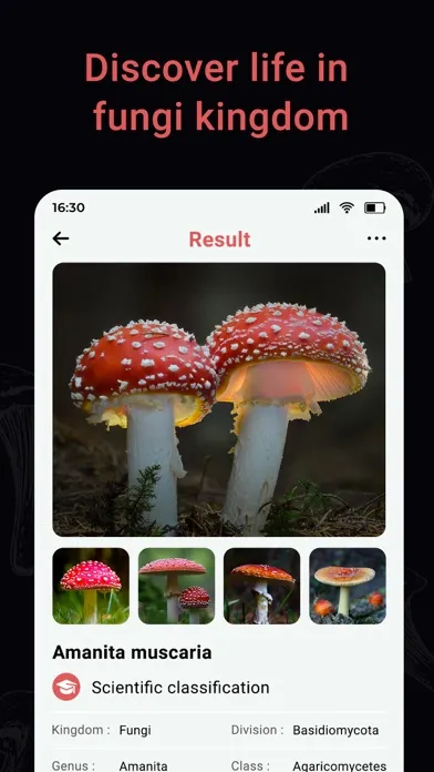 Capturas de pantalla de USA Mushroom Identification