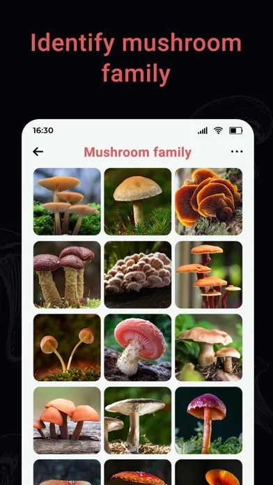 Capturas de pantalla de USA Mushroom Identification
