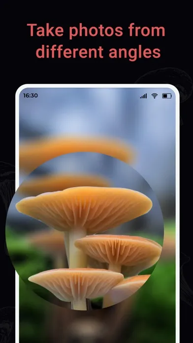 Capturas de pantalla de USA Mushroom Identification