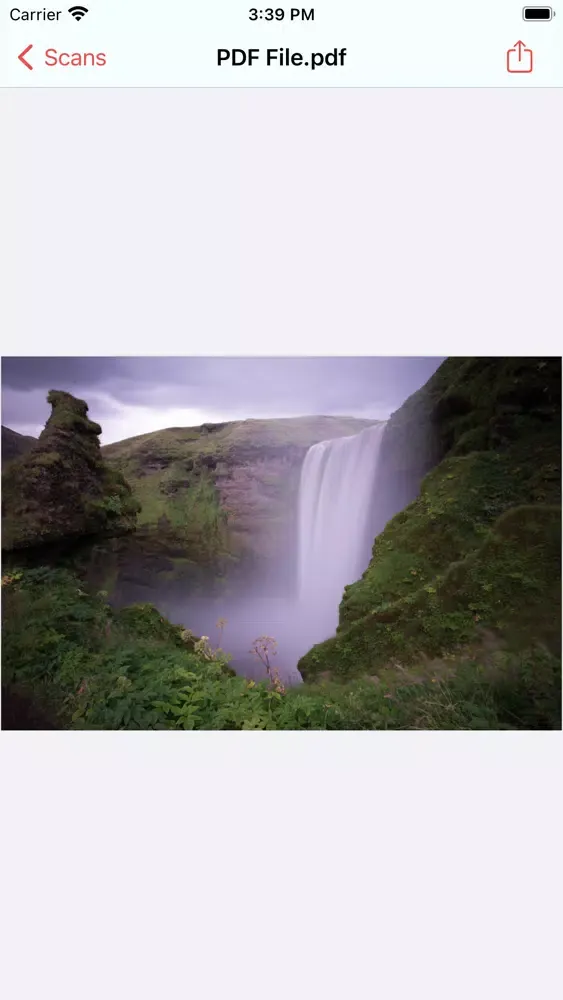 PDF Buddy Ekran Görüntüleri