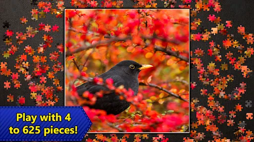 Jigsaw Puzzles Epic স্ক্রিনশট