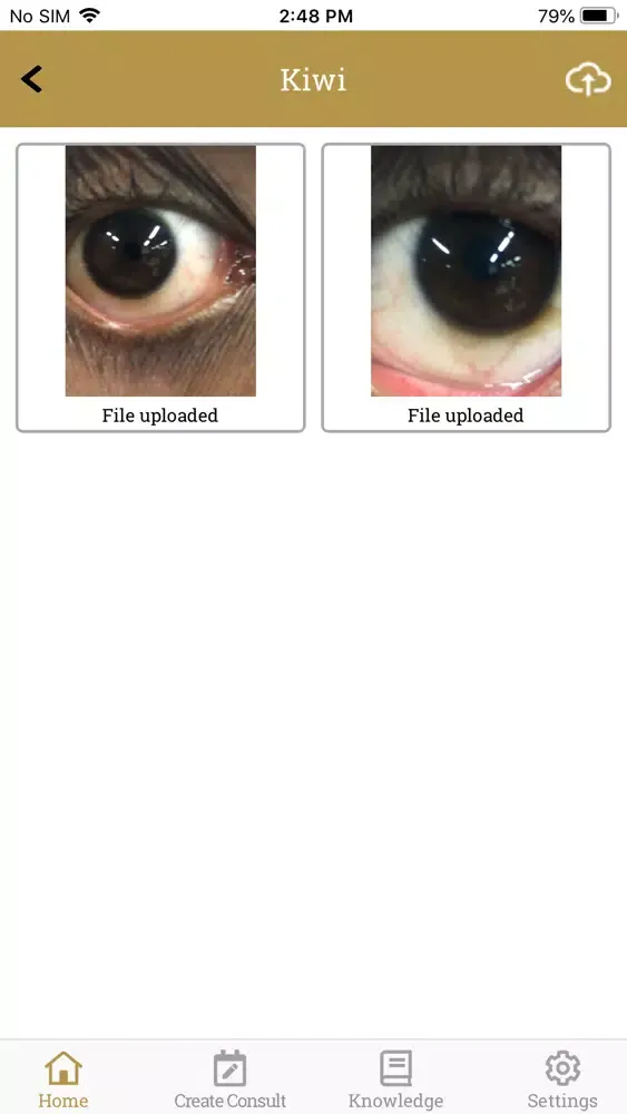 Tangkapan skrin The Eye Vet