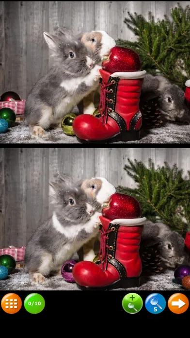 صور Find Differences New Year