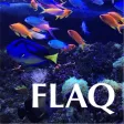 Florida Aquarium Guide Florida Aquarium Guide
