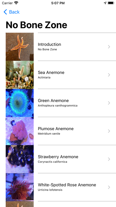 Florida Aquarium Guide應用截圖