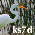 K3iNetwork K3iNetwork