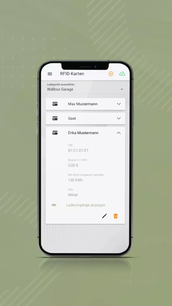 Screenshot di KSE ChargeConnect