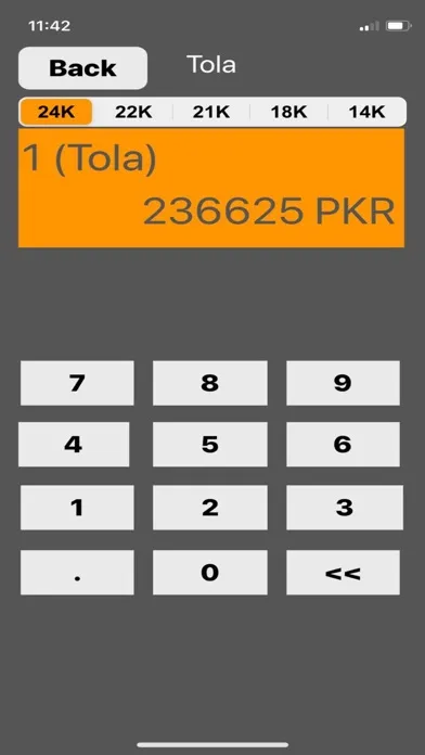 Скриншоты Pakistan Gold Price