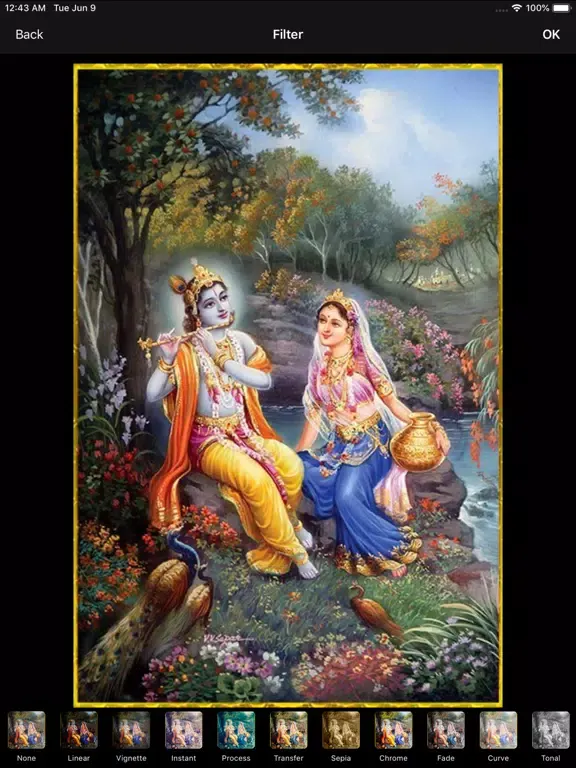 Ảnh chụp màn hình của Radhekrishna Pics iPad 