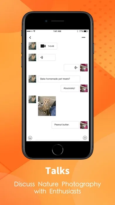 Ảnh chụp màn hình của KittyPark Elite -friend finder
