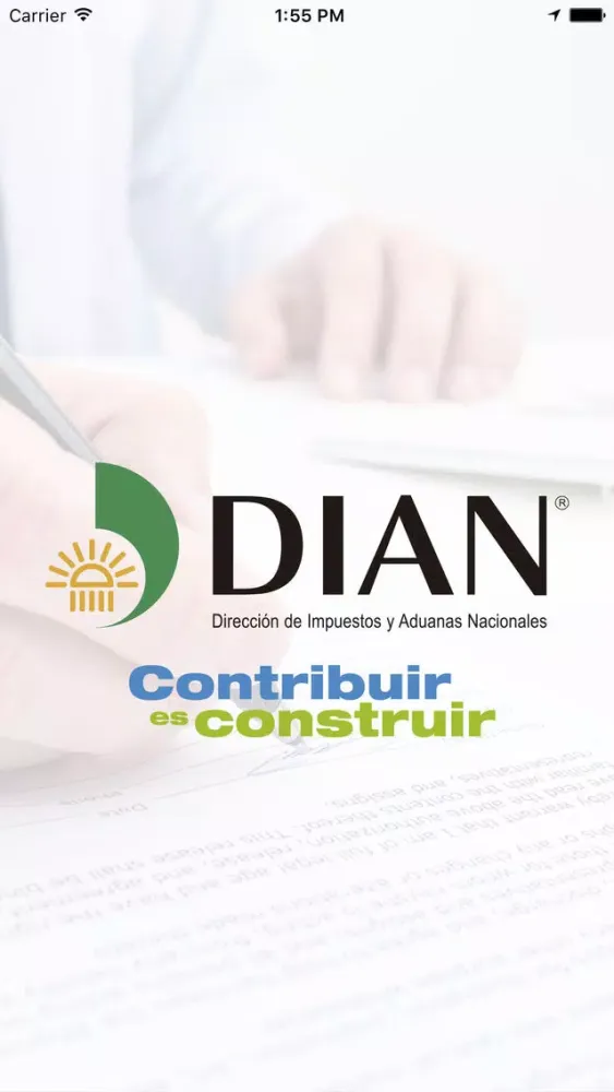 DIAN. Screenshots