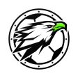 Kudigoal