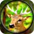Forest Wild Animal - Hunting 3