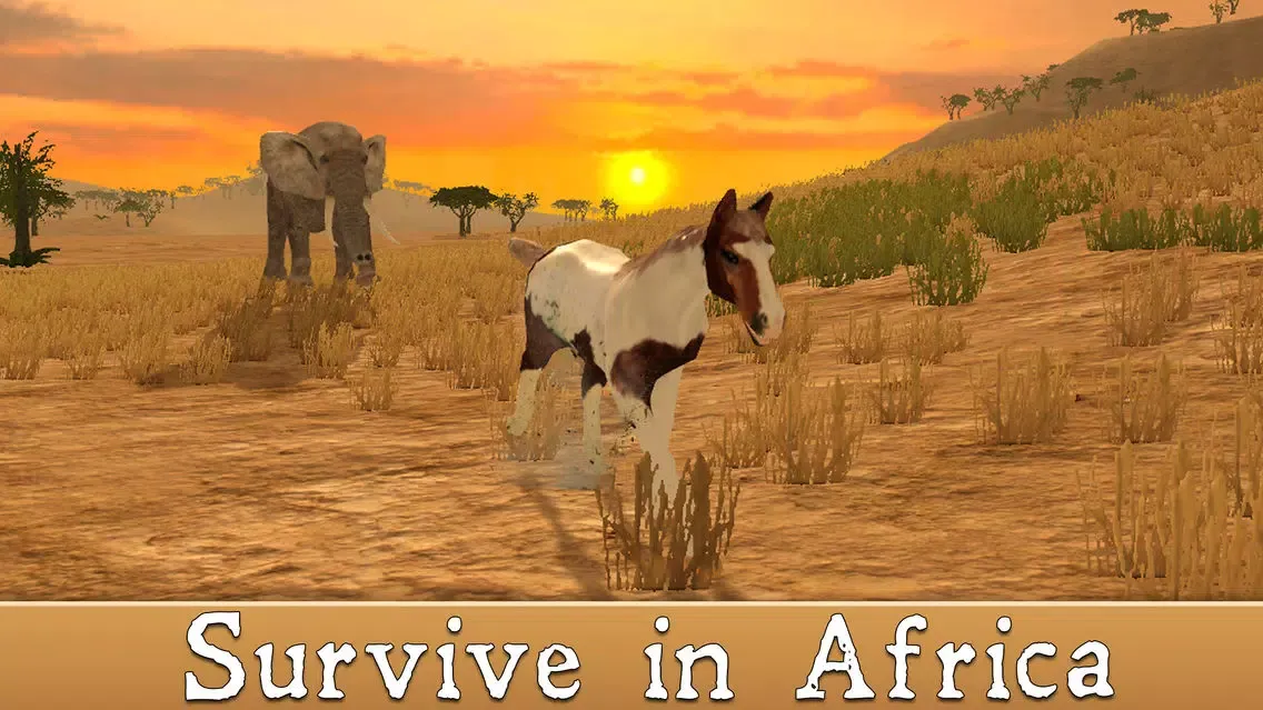 Wild African Horse: Animal Simulator 2017 Screenshots