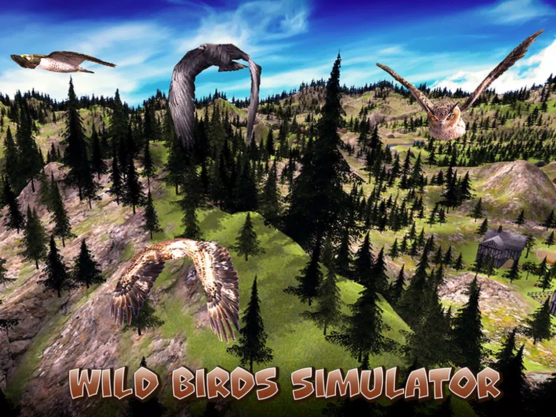 تصاویر Wild Bird Survival Simulator Full iPad 