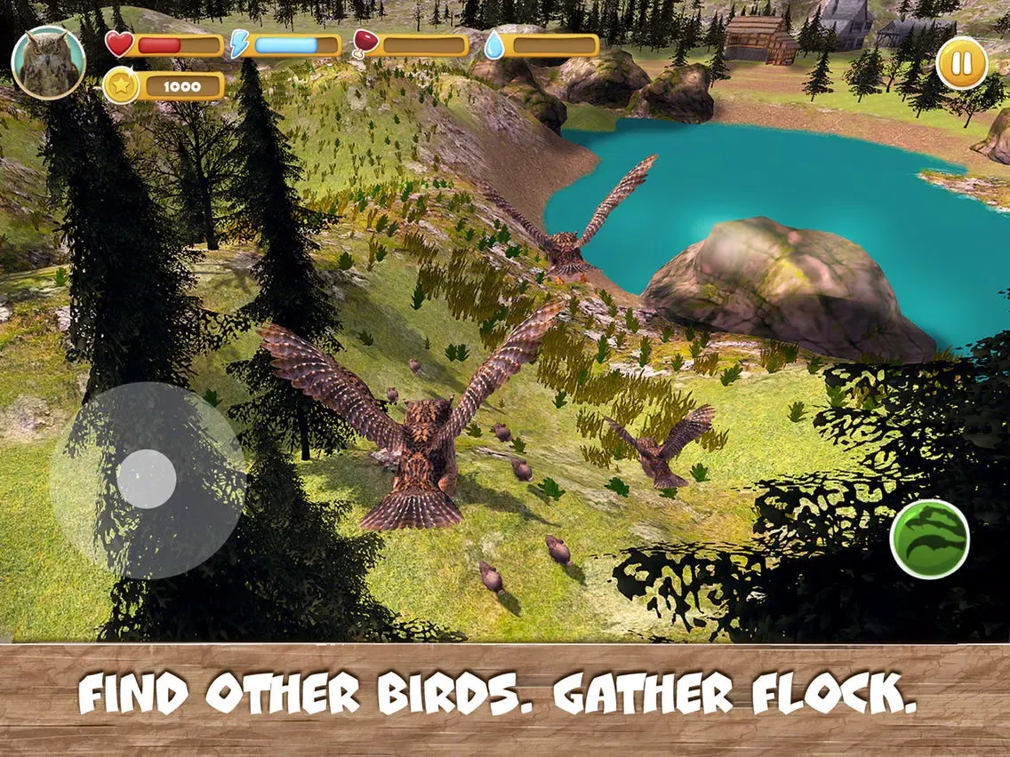 تصاویر Wild Bird Survival Simulator Full iPad 