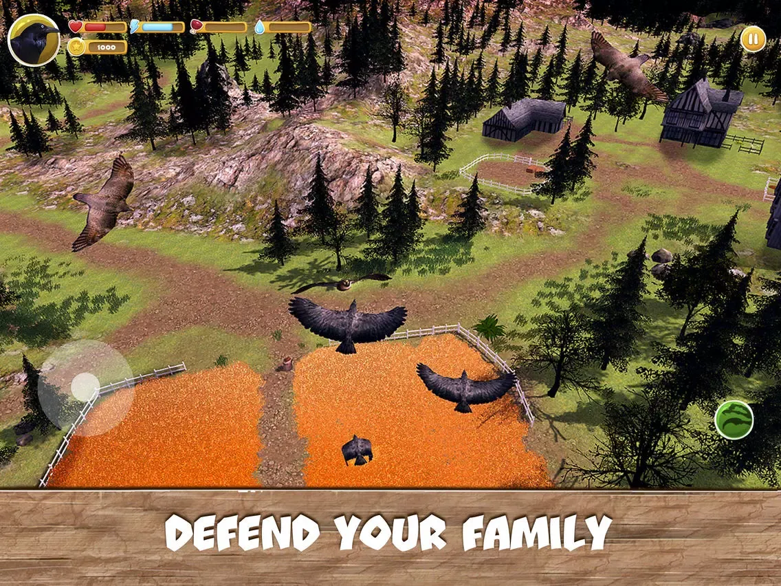 تصاویر Wild Bird Survival Simulator Full iPad 