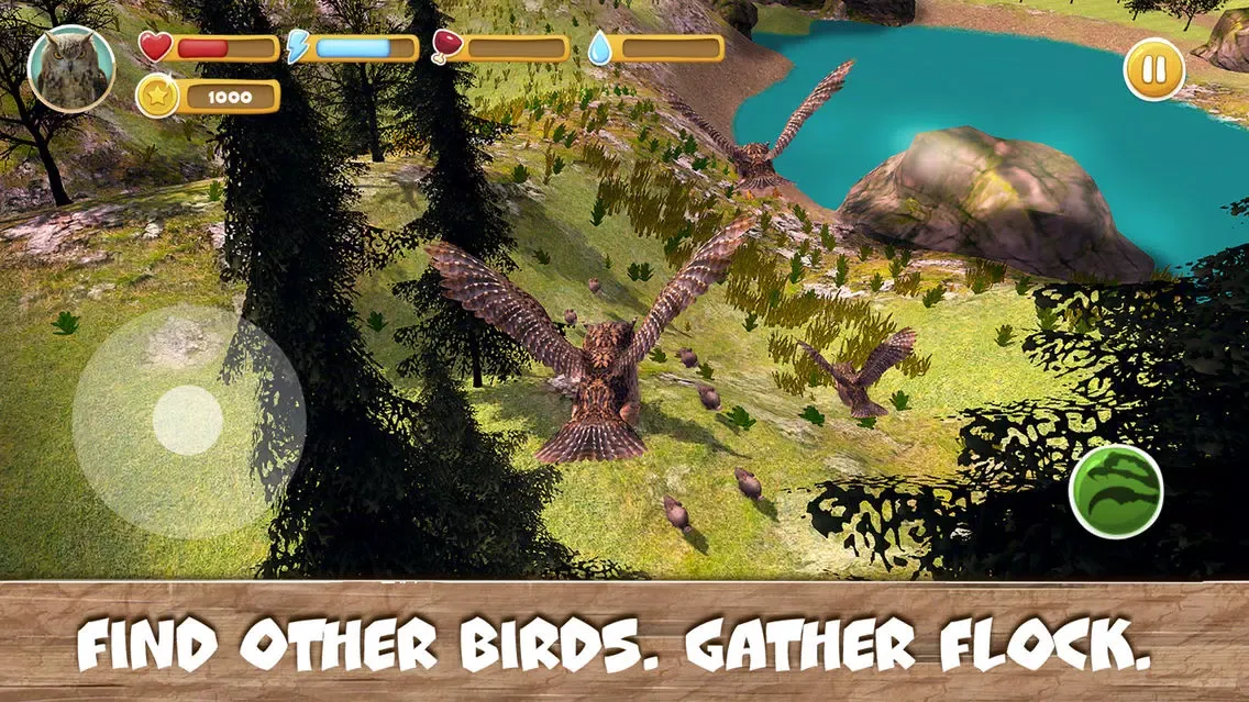 تصاویر Wild Bird Survival Simulator Full