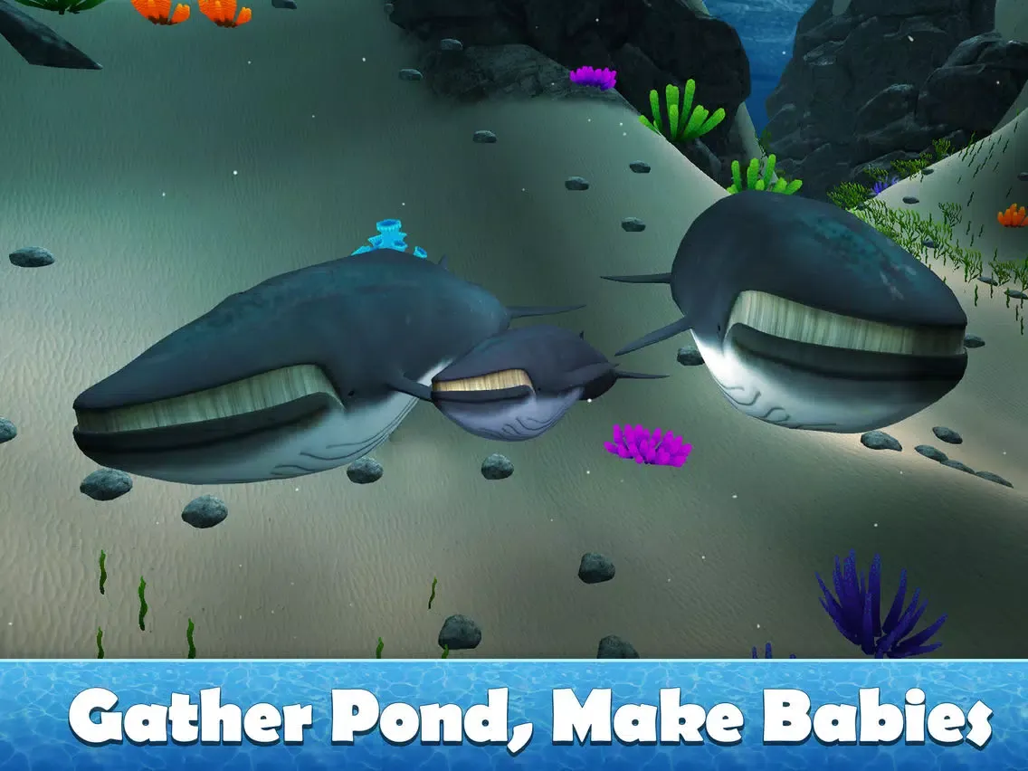 صور Big Blue Whale Survival 3D Full - Try whale simulator, be ocean animal! iPad 